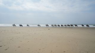 03-Activites-Equitation-08-Euronat.JPG