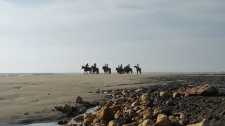 03-Activites-Equitation-09-Euronat.JPG