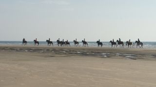 03-Activites-Equitation-11-Euronat.JPG