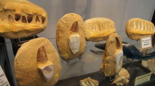 03-Activites-Exposition-002.JPG