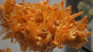 03-Activites-Exposition-003.JPG