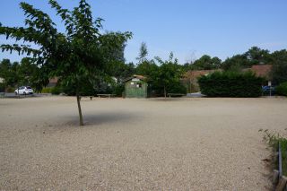 03-Activites-Petanque-02.JPG