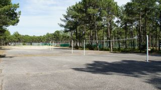 03-Activites-Volley-001.JPG