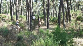 03-Activites-070.jpg