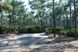 03-Activites-080.jpg