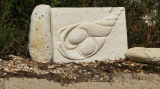 03-Activites-119.jpg
