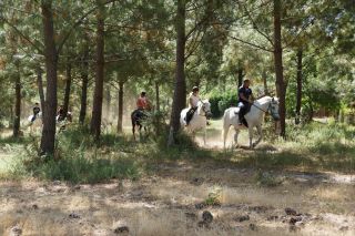 03-Activites-150.jpg