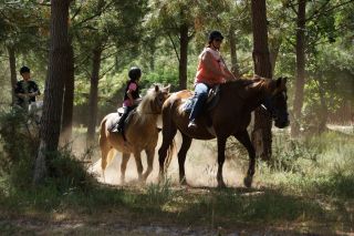 03-Activites-151.jpg