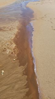 05-Plage-018.jpg
