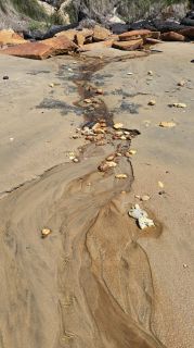 05-Plage-019.jpg