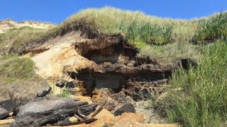 05-Plage-021.jpg