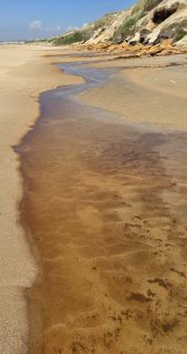 05-Plage-023.jpg