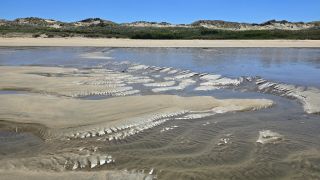 05-Plage-031.jpg