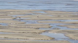 05-Plage-042.jpg