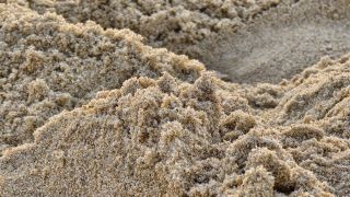 05-Plage-048.jpg