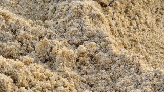 05-Plage-047.jpg