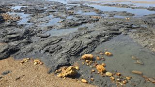 05-Plage-053.jpg