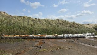 05-Plage-058.jpg
