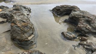 05-Plage-059.jpg