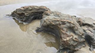 05-Plage-060.jpg