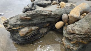 05-Plage-062.jpg