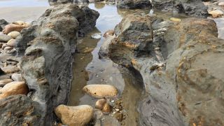 05-Plage-063.jpg