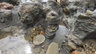 05-Plage-064.jpg