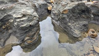 05-Plage-065.jpg