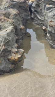 05-Plage-067.jpg