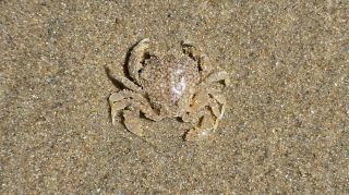 05-Plage-073.jpg