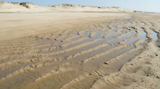 05-Plage-079.jpg