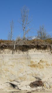 05-Plage-169.jpg