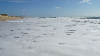 05-Plage-173.jpg