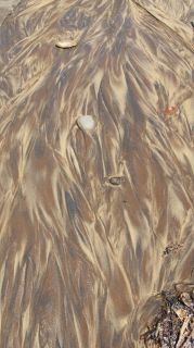 05-Plage-190.jpg