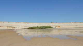 05-Plage-192.jpg