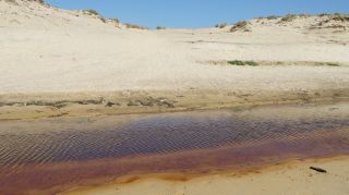 05-Plage-197.jpg