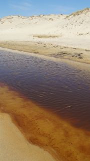 05-Plage-199.jpg