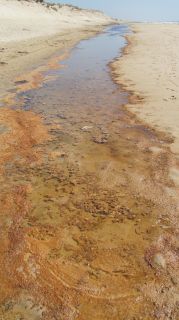05-Plage-201.jpg