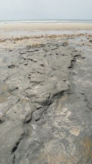 05-Plage-226.jpg