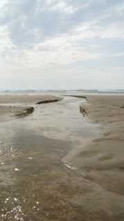 05-Plage-234.jpg