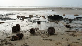 05-Plage-237.jpg
