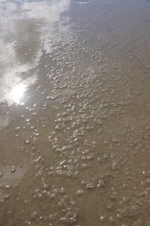 05-Plage-275.jpg