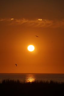 05-Plage-296.jpg