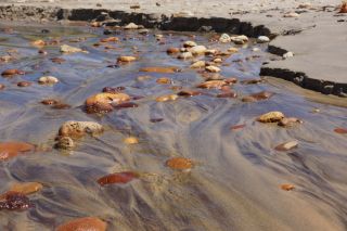 05-Plage-299.jpg