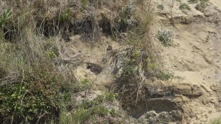 05-Plage-317.jpg