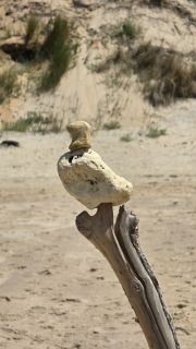 05-Plage-319.jpg