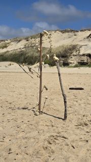 05-Plage-318.jpg