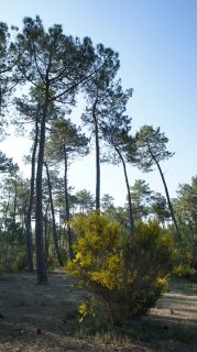 06-Nature-002.jpg