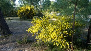 06-Nature-003.jpg