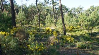 06-Nature-005.jpg